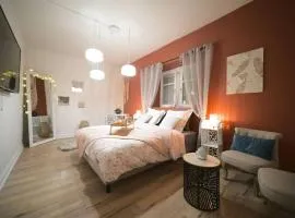 Aman Insolite Jacuzzi Parking Free Centre à 5min