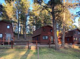 Trailshead Lodge - Cabin 4，位于利德的乡村别墅