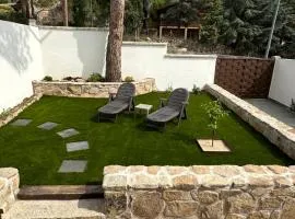 El secreto del pinar