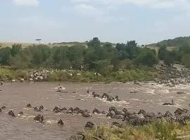 Elephant trails camp