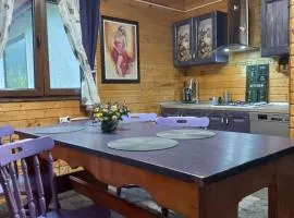 Wooden House In Apuseni Hot Tube &Mountain wiew