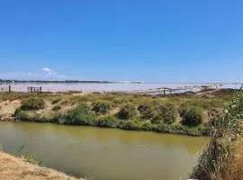 Maison 3 chambres, quartier calme, vue sur les salines !