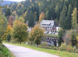 克洛斯特维何霍夫酒店，位于Dachsberg im Schwarzwald的酒店