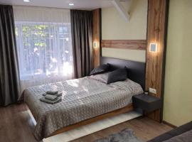 Апартаменти на Лесі Українки Центр 5хв Старе місто Парк，位于卡缅涅茨-波多利斯基的自助式住宿