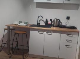 Apartamenty w Pieninach - studio 2 osobowe，位于斯洛莫夫采维日奈的酒店