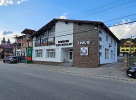 Pensiune Restaurant Pizzerie 2 Păuni，位于博尔沙的民宿