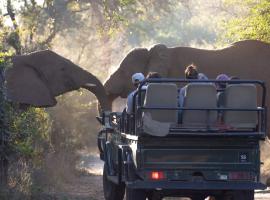 Karongwe Portfolio - Chisomo Safari Camp，位于侯斯普瑞特的酒店