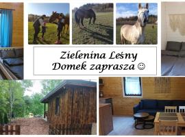 Zielenina Leśny Domek，位于Mierzeszyn的酒店