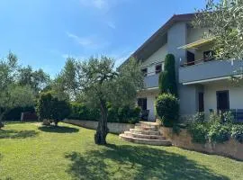 App Trinodis