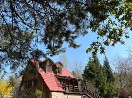 Izdebka na Podchybiu