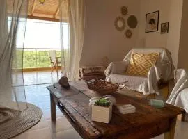 homonatura. sense of native living.