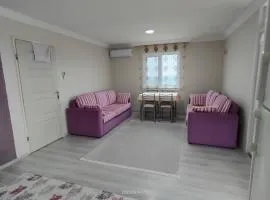 Söğütlü home