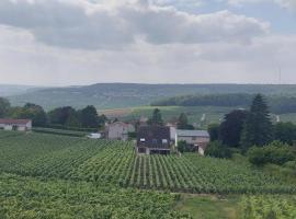 Maison au Coeur du Vignoble Champenois，位于Champillon的酒店