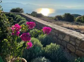 Stonevillas and Seaview Garden Marion