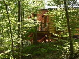 La cabane aux écureuils
