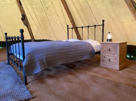 Devon Tipi Camp And Glamp，位于Stoke Canon的豪华帐篷营地