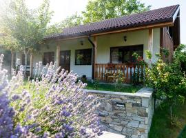 Walnut Cottage 1，位于Debrashtitsa的乡村别墅