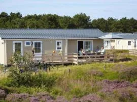 Comfortable chalet in the Texel dune areal