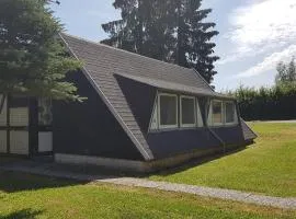 Chalet in Gerolstein forest holiday park
