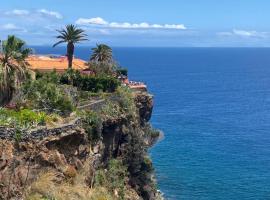 Inn & Art Madeira，位于卡尼索的旅馆