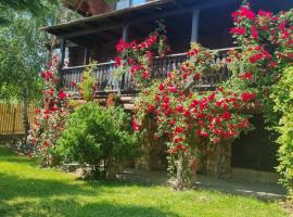 Cabana Haiducului，位于索韦亚的酒店