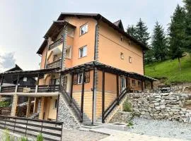 Pensiunea 3flori de Colț