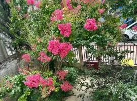 F3 au grenier d'une maison