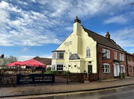 Kings Head Coltishall，位于诺里奇的酒店