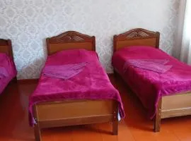 Guest house Track Kazbegi