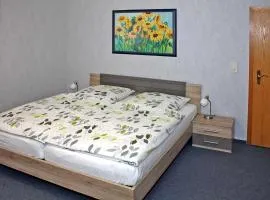 Ferienwohnung Brandshagen