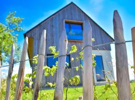 Hisa Vukan - Eco House in middle of vineyard with Sauna!，位于Miklavž pri Ormožu的别墅