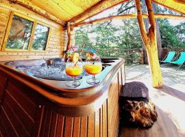 Domaine de la Font Vineuse & Spa，位于Saint-Pierre-dʼArgençon的酒店