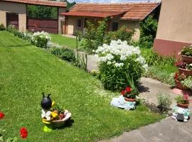 Casa Izvorul Rece