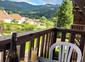 Appartement chaleureux au cœur des Hautes Vosges