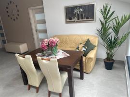 Apartament II w Centrum - Winda - 50 metrów od Starego Rynku，位于科希切日纳的酒店