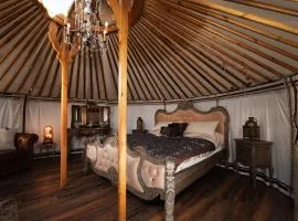 Lincoln Yurts