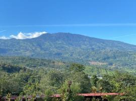 Hotel Green Mountain turrialba，位于图里亚尔瓦的酒店