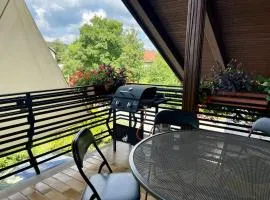 Prijeten prostoren apartma v hiši