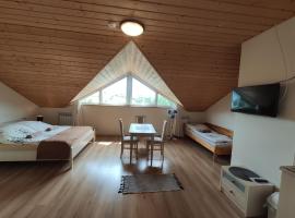 Widok apartamenty domki pokoje 725 -258 -751，位于波拉齐克的酒店