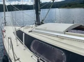 Cometino 800