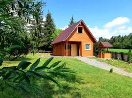 Domki na granicy - Kocoń