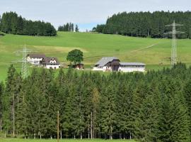 Dürrenbartleshof，位于布莱特瑙的酒店