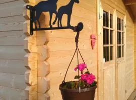 Kilplaste küla kämpingud