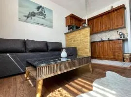 Byt v centre mesta Snina