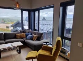 Beautiful penthouse with panoramic view at Sjusjøen