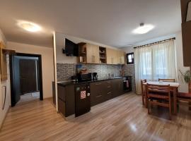 Central Place Apartment Timisoara，位于蒂米什瓦拉织物区犹太教堂附近的酒店