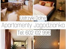 Apartamenty Jagodzianka - Jacuzzi, Sauna, Tężnia solankowa