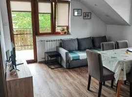 Apartman 2 RIBIČ