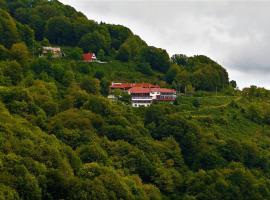 Chania Hotel，位于哈尼亚的滑雪度假村