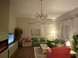فيلا ممشى الضباب